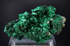 Malachite fibrous / star mine Katanga, CONGO 7.5x4x3.2cm 75g picture