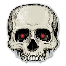 Skull Halloween Magnet picture