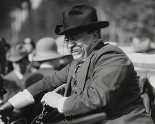 1910 President Theodore Teddy Roosevelt 8x10 glossy photo print -  picture