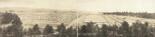 Greenville South Carolina Camp Sevier 1917 WWI Military Camp Panoramic Tents picture