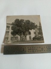 Vintage WW2 Era picture