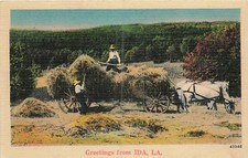 Postcard LA: Greetings from Ida, Louisiana, Hay Harvest Scene, Linen Posted 1939 picture