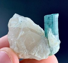 59 Carat Tourmaline Crystal  With Quartz Specimen From Afghanistan picture