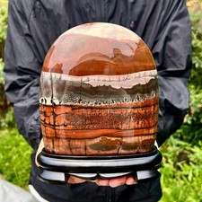5.1LB Natural Chinese tree like limestone image, stone Guohua ball picture