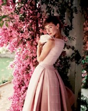 Audrey Hepburn 8×10 photos print picture