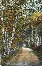 White Mountains-Swazey Lane-Bethlehem-New Hampshire-NH picture