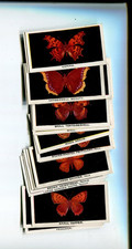 1927 GODFREY PHILLIPS LTD. BRITISH BUTTERFLIES 25 TOBACCO CARD SET picture
