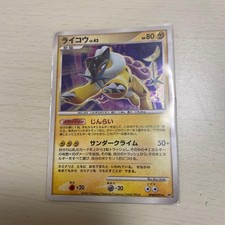 Raikou 293 picture