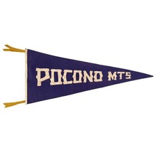 Vtg 30s Pocono Mountains Pennant Sewn Log Woodgrain Lettering Wool Felt Banner picture