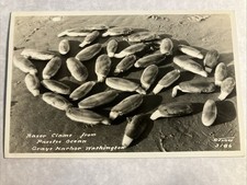 RPPC Razor Clams from Pacific Ocean in Copalis Beach Washington c1940s Postcard picture