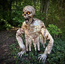 Haunted Living 3Ft Animated Moaning Mummy Animatronic Halloween Prop 2026 NIB picture