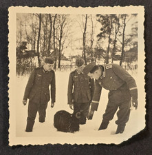 WEIRD CREATURE WEHRMACHT SOLDIERS PET STRANGE ANIMAL  WW2 German War Photo picture
