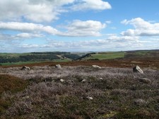 Photo A3 Possible Ring cairn or hut circle at Harker Mires Grinton This  c2016 picture