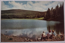 Vintage La Baron Lake Beaver Mountains Utah Chrome Postcard picture