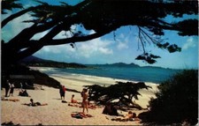 Carmel By The Sea California 1960s Postcard White Sands Beach Ocean Bathers picture