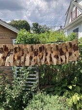 Vintage Declaration of Independence Bosporus Toile Valance picture