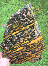 Yellow Leopard Skin Jasper Slab - Large - 68g picture