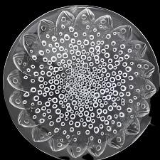 Lalique Roscoff Plate picture