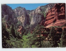Postcard The Cliffs Above Oak Creek Canyon Arizona USA picture