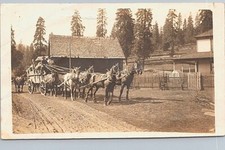RPPC Washington? Horse-Drawn Wagons & Homestead Scene early 1900s picture