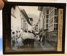 15 Antique Glass Magic Lantern Slides Keystone Bijou GEM Milligan Photo Lot picture