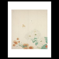Kitao Shigemasa - Three Types of Chrysanthemums (1785) Art Card Print picture