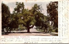 Pasadena California Orange Grove Avenue  Postcard c1906 picture