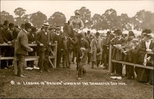 Radium Horse Racing Winner Doncaster Cup 1908 c1900s-10s Real Photo Postcard picture