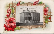 Ivanhoe MN Public School Minnesota Red Flowers 1910s Fred Lounsbury Postcard E62 picture