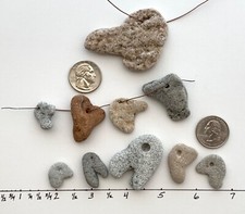 10 Bird Duck Head Beach Rocks Stone Natural Shaped Pebble mixed art craft hag US picture