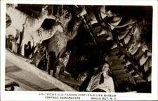Eagle Bay NY Wild Life Museum TAXIDERMY Real Photo Vintage Postcard bhn picture