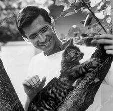 [ Anthony Perkins with his cat - dp-04384 picture
