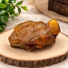 Natural amber is a unique collectible stone picture