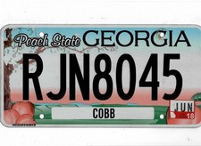 GEORGIA passenger 2018 license plate 