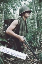 Vietnam  War  Photos --   Soldier In Jungle picture