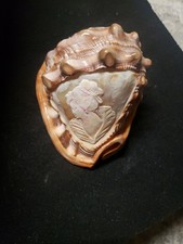 Vintage Italy Hand Carved Cameo Colorful Seashell Conch picture