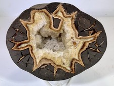 85 oz Polished Septarian Nodule Half W/ Star Shaped Crystal Cavity & Stand Geode picture