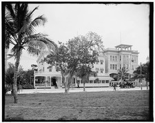 Photo:Miami Florida San Carlos Hotel 1900s Palm Trees Resort Hotel picture