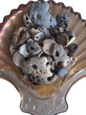 40 Natural Hag Stones| Genuine Holy beach Stones| Craft Lot,Wicca,Pagan C picture