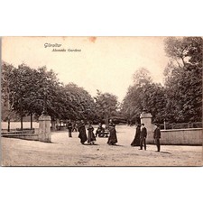 The Beautiful Alameda Gardens in Gibraltar Vintage Postcard SP10-13 picture