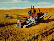 Farm Scenes Curt Teich & Co., Linen Postcard 10 Subjects unposted picture