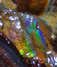 “The BEST Fire” Black Waters Fire Agate Superior Quality High Grade  picture