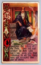 Postcard Antique The Sermon on the Mount Matthew 6: 28-29 1907 Gannett Pub. N060 picture