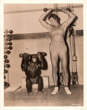 JOHNNY WEISSMULLER Tarzan Finds a Son 1939 BEEFCAKE MONKEY ORIG PHOTO MA picture