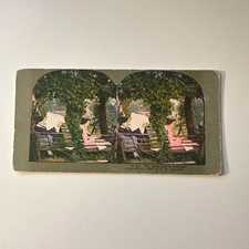 Outdoor Garden Scene Figures Near A Leafy Trellis Antique Stereoview Card 5H6-3 picture
