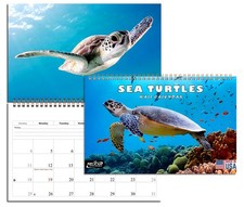 2027 Spiral-bound Wall Calendar (Sea Turtles) - 12 Months Desktop / Wall Calend picture