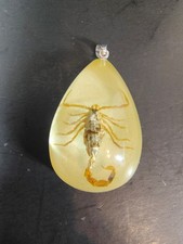 Vintage Real Scorpion Insect Specimen Resin Pendant UV Reactive Teardrop Oddity picture