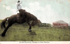 Wild West Old Wyoming Rodeo Cowboy Bucking Horse Kate Bender Vtg Postcard F54 picture
