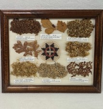 Vintage Framed Navajo Medicine Plant Chart Native American Herb 11.5”x 9.5” Art picture