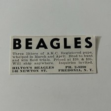 Hilton's Beagles Registered Pups Fredonia NY 1955 Ad TAJ5-S20 picture